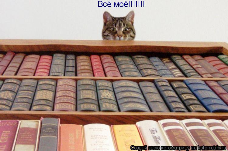 Котоматрица: Всё моё!!!!!!!