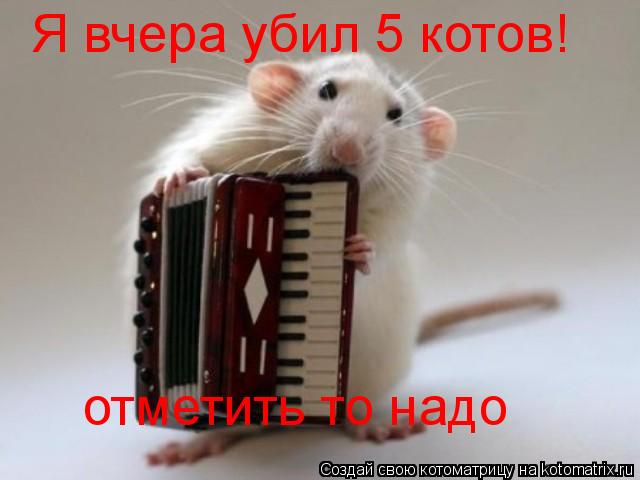 Котоматрица: Я вчера убил 5 котов! отметить то надо