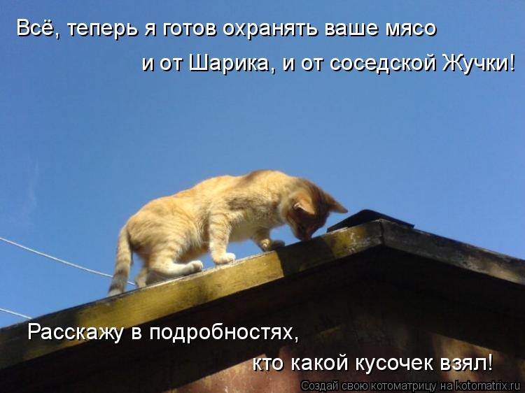 Котоматрица: Всё, теперь я готов охранять ваше мясо  и от Шарика, и от соседской Жучки! Расскажу в подробностях,  кто какой кусочек взял!
