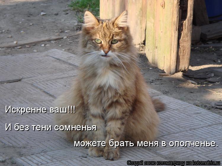 Котоматрица: Искренне ваш!!! И без тени сомненья  можете брать меня в ополченье.