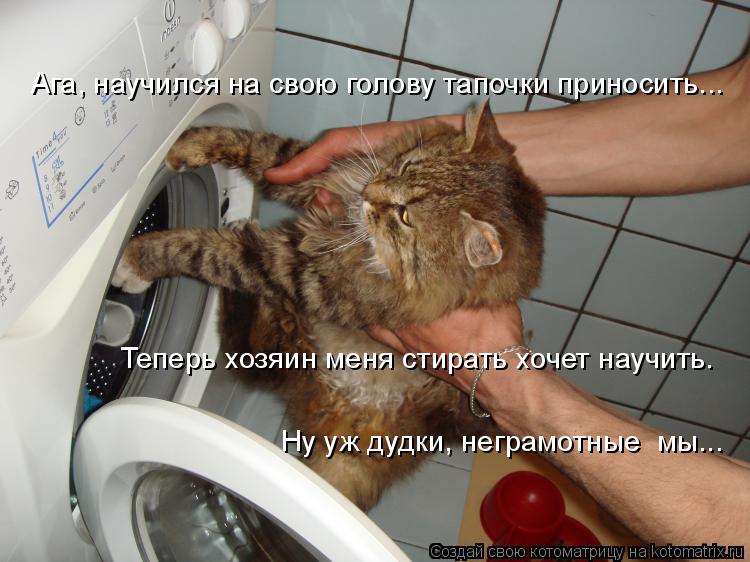 Ага, научился на свою голову тапочки приносить... Теперь хозяин меня стирать хочет научить. Ну уж дуд... Котоматрица: Ага, научился на свою голову тапочки приносить... Теперь хозяин меня стирать хочет научить. Ну уж дудки, неграмотные мы...