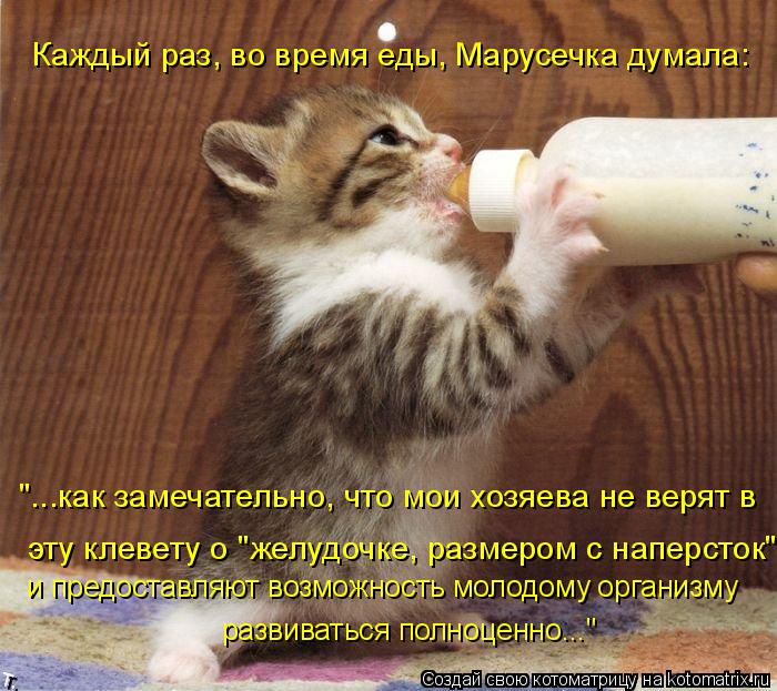 Котоматрица: Каждый раз, во время еды, Марусечка думала: "...как замечательно, что мои хозяева не верят в  эту клевету о "желудочке, размером с наперсток" и п