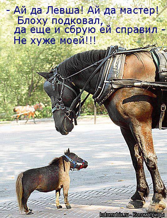 Котоматрица: - Ай да Левша! Ай да мастер! Блоху подковал,  да еще и сбрую ей справил - Не хуже моей!!!