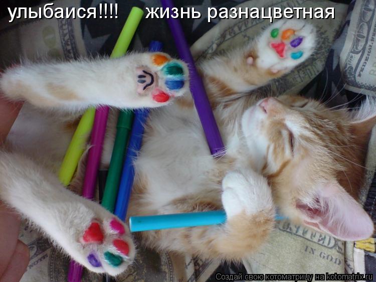 Котоматрица: улыбаися!!!!     жизнь разнацветная