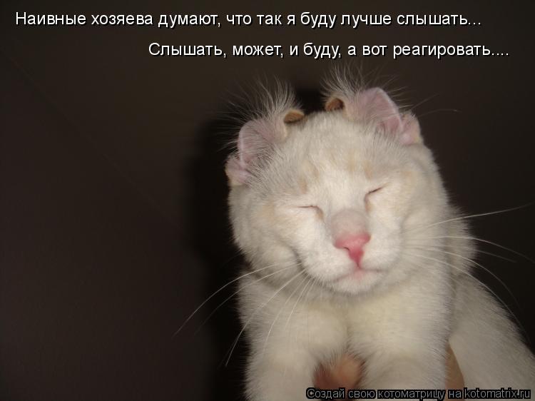 Котоматрица: Наивные хозяева думают, что так я буду лучше слышать... Слышать, может, и буду, а вот реагировать....
