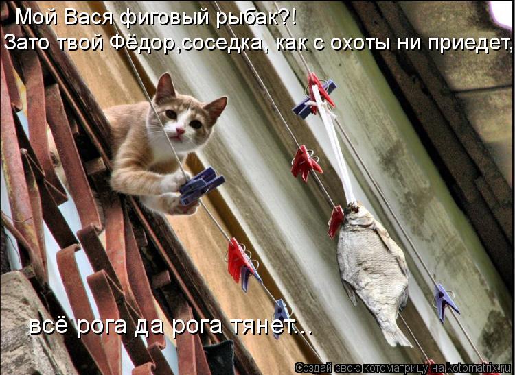 Мой Вася фиговый рыбак?! Зато твой Фёдор,соседка, как с охоты ни приедет, всё рога да рога тянет...... Котоматрица: Мой Вася фиговый рыбак?! Зато твой Фёдор,соседка, как с охоты ни приедет, всё рога да рога тянет...