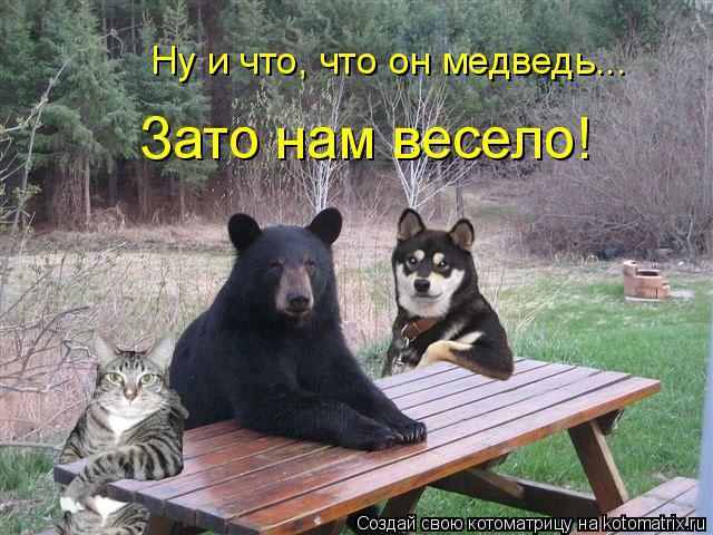 Ну и что, что он медведь... Зато нам весело!... Котоматрица: Ну и что, что он медведь... Зато нам весело!