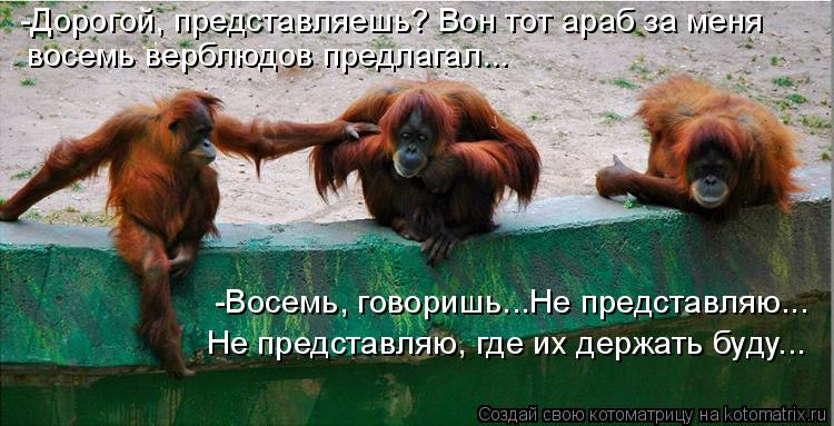 -Дорогой, представляешь? Вон тот араб за меня -Восемь, говоришь...Не представляю... Не представляю, ... Котоматрица: -Дорогой, представляешь? Вон тот араб за меня -Восемь, говоришь...Не представляю... Не представляю, где их держать буду... восемь верблюдов пре