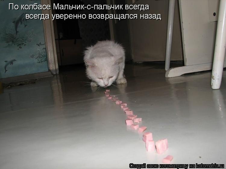 По колбасе Мальчик-с-пальчик всегда всегда уверенно возвращался назад... Котоматрица: По колбасе Мальчик-с-пальчик всегда всегда уверенно возвращался назад