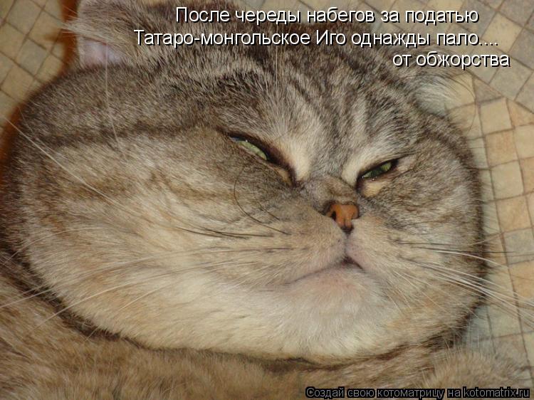 После череды набегов за податью от обжорства Татаро-монгольское Иго однажды пало....... Котоматрица: После череды набегов за податью от обжорства Татаро-монгольское Иго однажды пало....