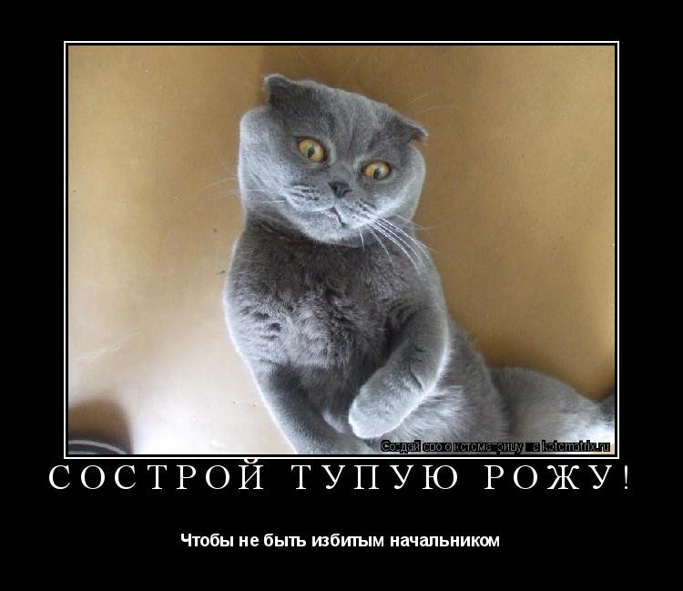 Котоматрица: Сострой тупую рожу! Чтобы не быть избитым начальником