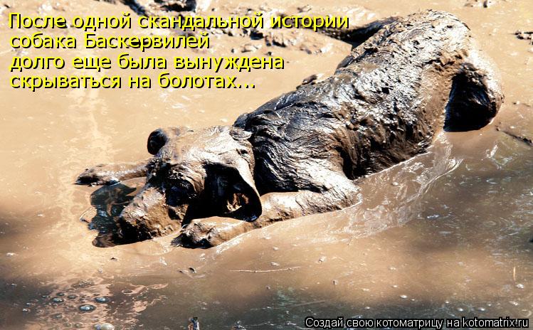 После одной скандальной истории собака Баскервилей долго еще была вынуждена скрываться на болотах...... Котоматрица: После одной скандальной истории собака Баскервилей долго еще была вынуждена скрываться на болотах...