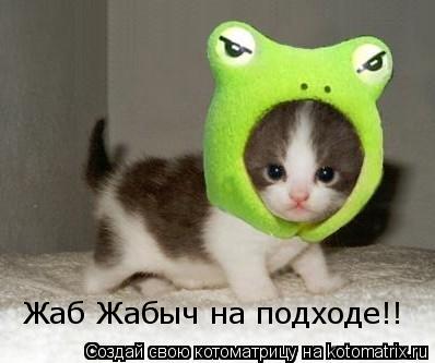 Жаб Жабыч на подходе!!... Котоматрица: Жаб Жабыч на подходе!!