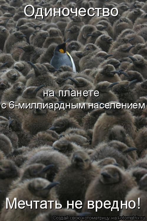 Одиночество на планете с 6-миллиардным населением Мечтать не вредно!... Котоматрица: Одиночество на планете с 6-миллиардным населением Мечтать не вредно!