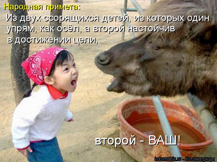 Народная примета: Из двух ссорящихся детей, из которых один упрям, как осёл, а второй настойчив в д... Котоматрица: Народная примета: Из двух ссорящихся детей, из которых один упрям, как осёл, а второй настойчив в достижении цели, второй - ВАШ!