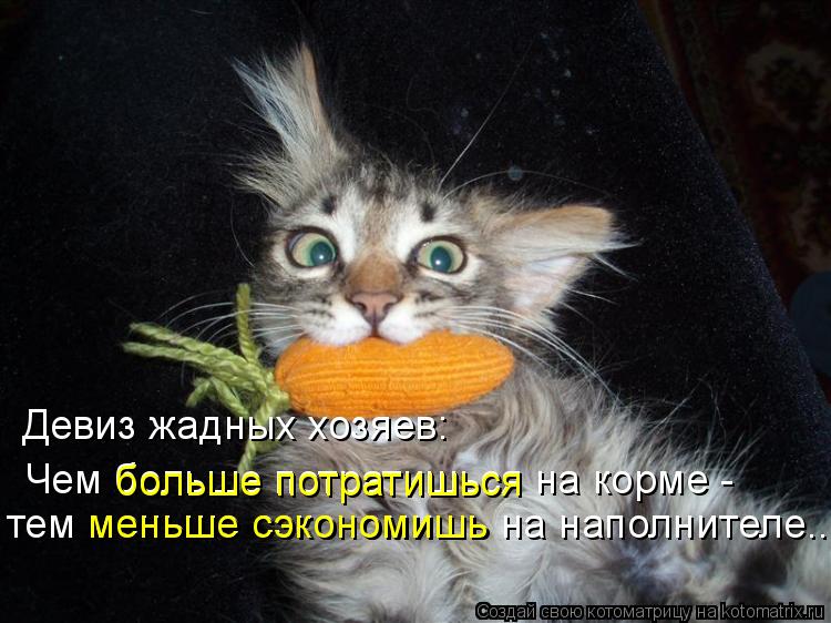 Чем больше потратишься на корме - тем меньше сэкономишь на наполнителе... больше потратишься меньше... Котоматрица: Чем больше потратишься на корме - тем меньше сэкономишь на наполнителе... больше потратишься меньше сэкономишь Девиз жадных хозяев: