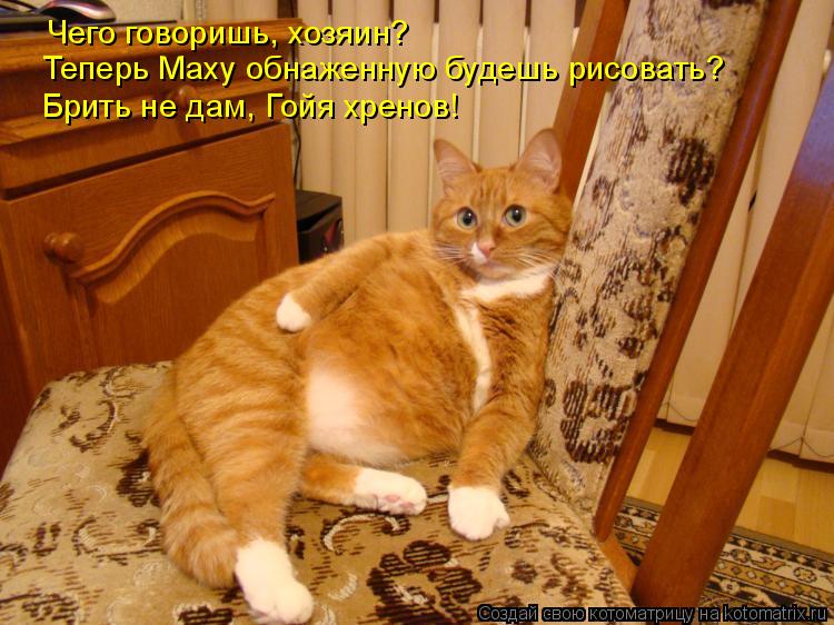 Чего говоришь, хозяин? Теперь Маху обнаженную будешь рисовать? Брить не дам, Гойя хренов!... Котоматрица: Чего говоришь, хозяин? Теперь Маху обнаженную будешь рисовать? Брить не дам, Гойя хренов!