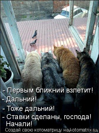 - Первым ближний взлетит! - Тоже дальний! - Дальний! - Ставки сделаны, господа! Начали!... Котоматрица: - Первым ближний взлетит! - Тоже дальний! - Дальний! - Ставки сделаны, господа! Начали!
