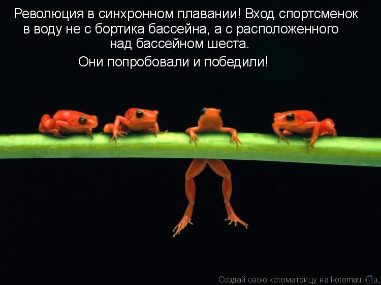Революция в синхронном плавании! Вход спортсменок в воду не с бортика бассейна, а с расположенного н... Котоматрица: Революция в синхронном плавании! Вход спортсменок в воду не с бортика бассейна, а с расположенного над бассейном шеста. Они попробовали и п