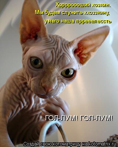 у него наша пррееелессть Хоррроооший хозяин. Мы будем служить ххоззяину, ГОЛ-ЛУМ! ГОЛ-ЛУМ!... Котоматрица: у него наша пррееелессть Хоррроооший хозяин. Мы будем служить ххоззяину, ГОЛ-ЛУМ! ГОЛ-ЛУМ!