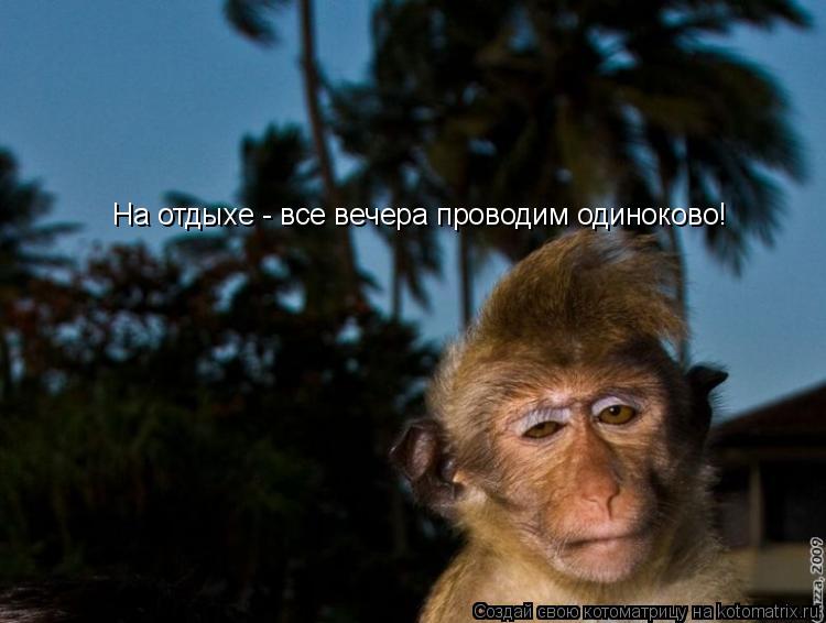 На отдыхе - все вечера проводим одиноково!... Котоматрица: На отдыхе - все вечера проводим одиноково!