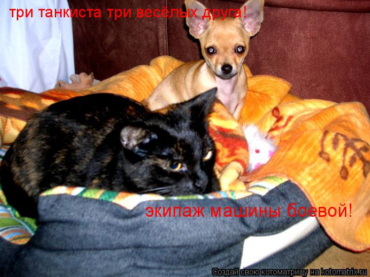 три танкиста три весёлых друга! экипаж машины боевой!... Котоматрица: три танкиста три весёлых друга! экипаж машины боевой!
