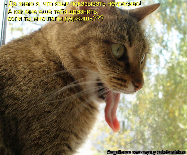 - Да знаю я, что язык показывать некрасиво! А как мне ещё тебя дразнить, если ты мне лапы держишь???... Котоматрица: - Да знаю я, что язык показывать некрасиво! А как мне ещё тебя дразнить, если ты мне лапы держишь???