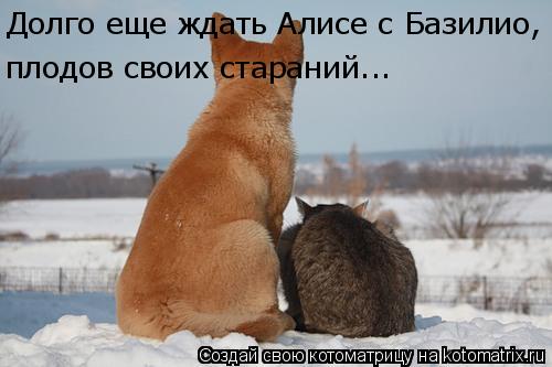Котоматрица: Долго еще ждать Алисе с Базилио, плодов своих стараний...