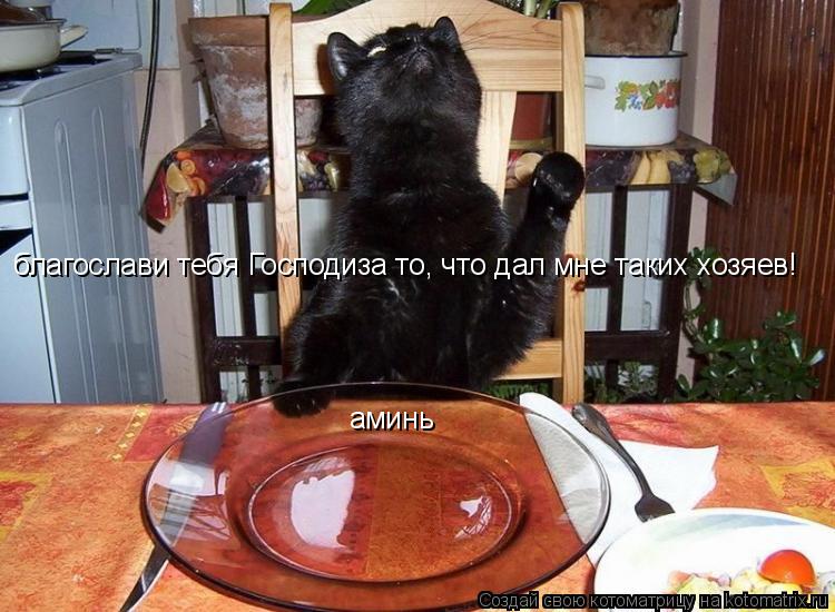 благослави тебя Господиза то, что дал мне таких хозяев! аминь... Котоматрица: благослави тебя Господиза то, что дал мне таких хозяев! аминь