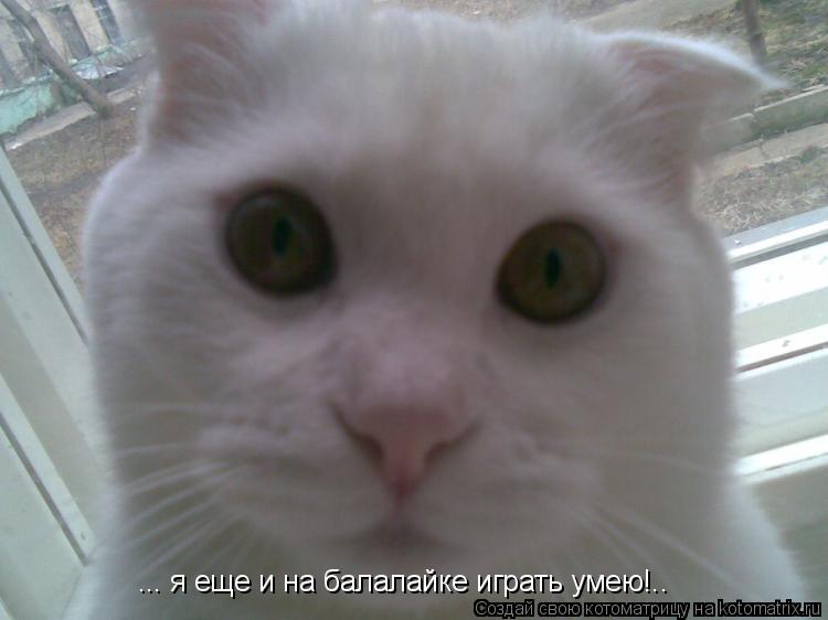 ... я еще и на балалайке играть умею!..... Котоматрица: ... я еще и на балалайке играть умею!..