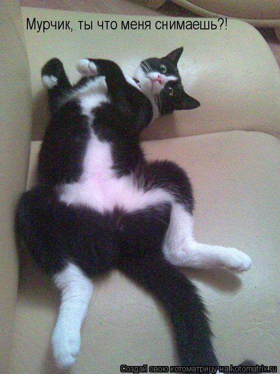 Мурчик, ты что меня снимаешь?!... Котоматрица: Мурчик, ты что меня снимаешь?!