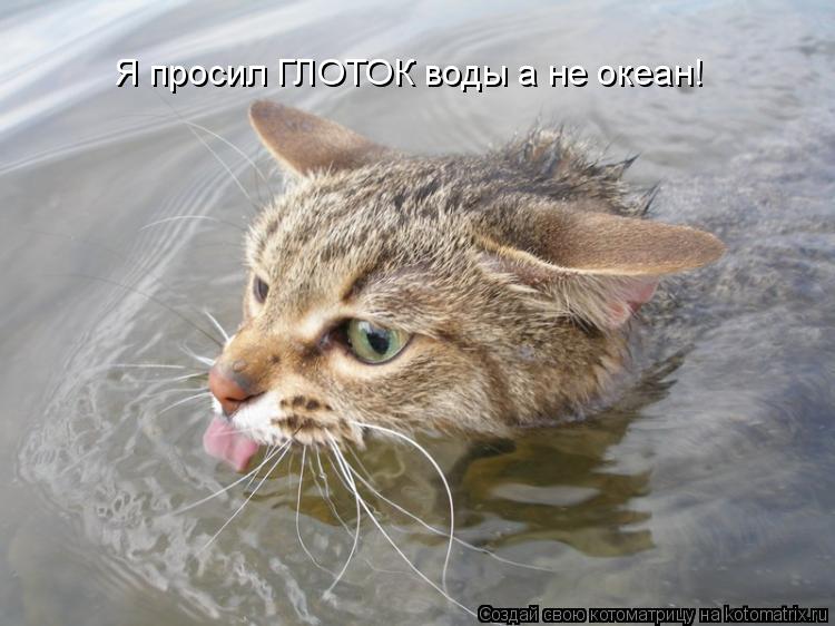 Я просил ГЛОТОК воды а не океан!... Котоматрица: Я просил ГЛОТОК воды а не океан!