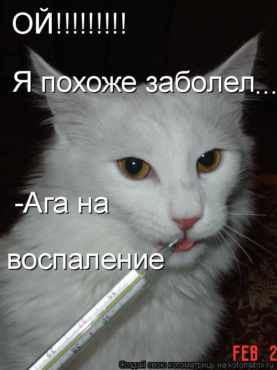 Котоматрица: ОЙ!!!!!!!!! Я похоже заболел  .... -Ага на  воспаление