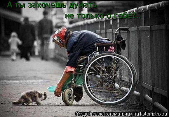 Котоматрица: А ты захочешь думать не только о себе?..