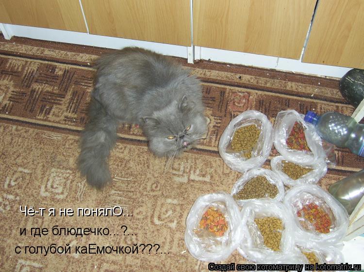 Чё-т я не понялО... и где блюдечко...?... с голубой каЕмочкой???...... Котоматрица: Чё-т я не понялО... и где блюдечко...?... с голубой каЕмочкой???...