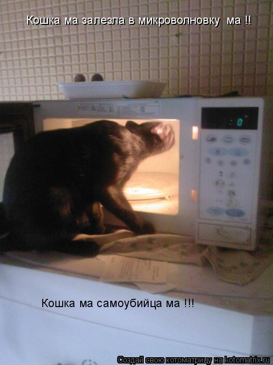 Кошка ма залезла в микроволновку ма !! Кошка ма самоубийца ма !!!... Котоматрица: Кошка ма залезла в микроволновку ма !! Кошка ма самоубийца ма !!!