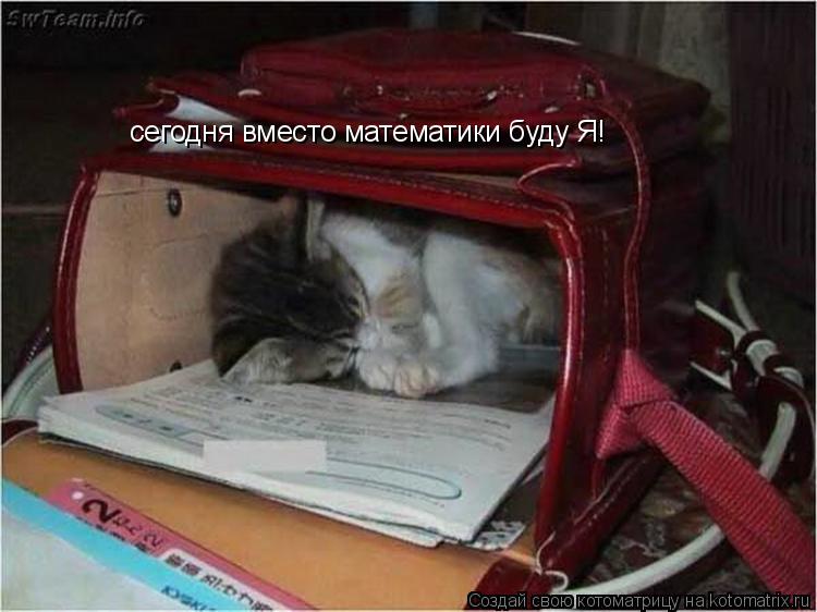 сегодня вместо математики буду Я!... Котоматрица: сегодня вместо математики буду Я!