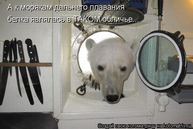 А к морякам дальнего плавания белка являлась в ТАКОМ обличье...... Котоматрица: А к морякам дальнего плавания белка являлась в ТАКОМ обличье...