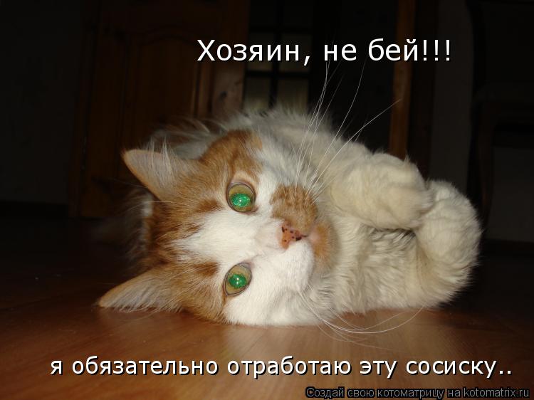 Хозяин, не бей!!! я обязательно отработаю эту сосиску..... Котоматрица: Хозяин, не бей!!! я обязательно отработаю эту сосиску..