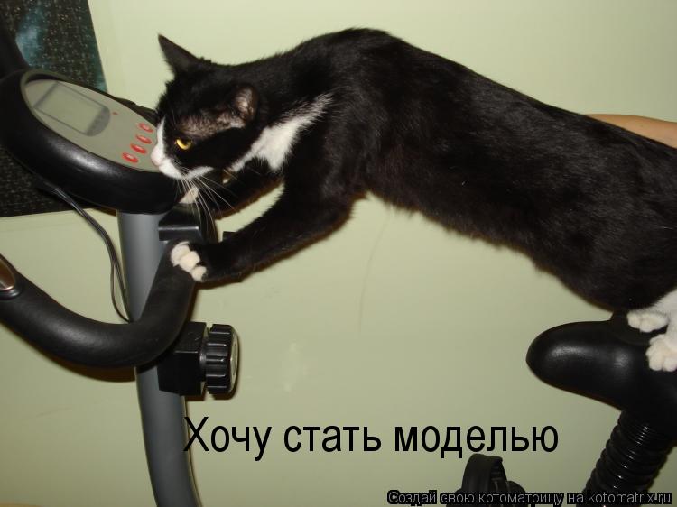 Хочу стать моделью... Котоматрица: Хочу стать моделью