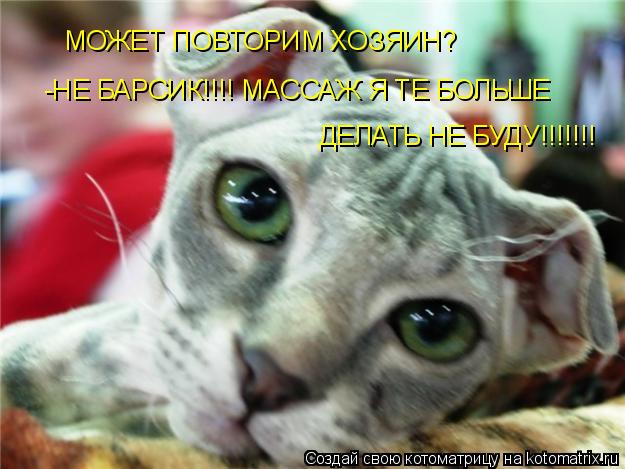 МОЖЕТ ПОВТОРИМ ХОЗЯИН? -НЕ БАРСИК!!!! МАССАЖ Я ТЕ БОЛЬШЕ ДЕЛАТЬ НЕ БУДУ!!!!!!!... Котоматрица: МОЖЕТ ПОВТОРИМ ХОЗЯИН? -НЕ БАРСИК!!!! МАССАЖ Я ТЕ БОЛЬШЕ ДЕЛАТЬ НЕ БУДУ!!!!!!!