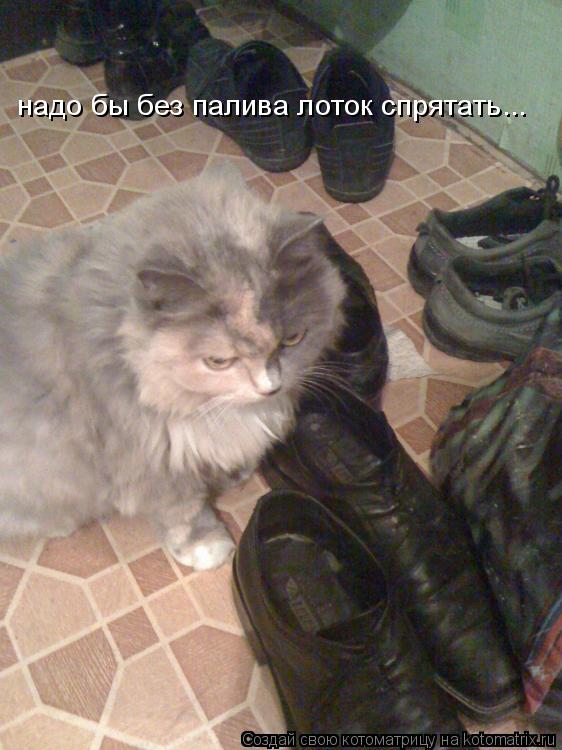 надо бы без палива лоток спрятать...... Котоматрица: надо бы без палива лоток спрятать...