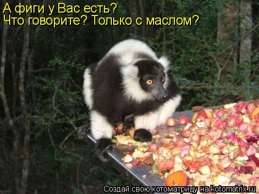 А фиги у Вас есть? Что говорите? Только с маслом?... Котоматрица: А фиги у Вас есть? Что говорите? Только с маслом?