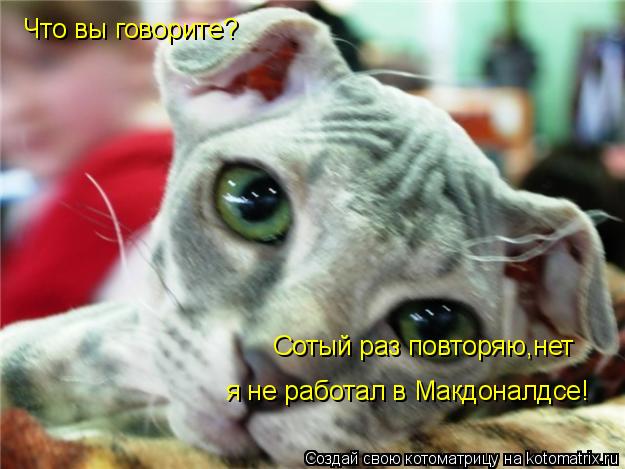 Что вы говорите? Сотый раз повторяю,нет я не работал в Макдоналдсе!... Котоматрица: Что вы говорите? Сотый раз повторяю,нет я не работал в Макдоналдсе!