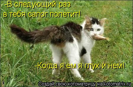 -В следующий раз в тебя сапог полетит! -Когда я ем я глух и нем!... Котоматрица: -В следующий раз в тебя сапог полетит! -Когда я ем я глух и нем!