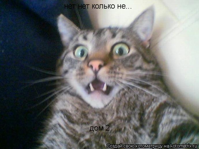 нет нет колько не... дом 2... Котоматрица: нет нет колько не... дом 2