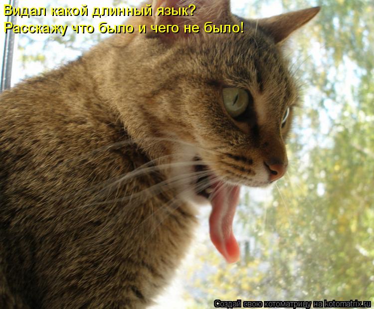 Видал какой длинный язык? Расскажу что было и чего не было!... Котоматрица: Видал какой длинный язык? Расскажу что было и чего не было!
