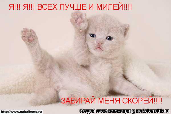 ЗАБИРАЙ МЕНЯ СКОРЕЙ!!!! Я!!! Я!!! ВСЕХ ЛУЧШЕ И МИЛЕЙ!!!!... Котоматрица: ЗАБИРАЙ МЕНЯ СКОРЕЙ!!!! Я!!! Я!!! ВСЕХ ЛУЧШЕ И МИЛЕЙ!!!!