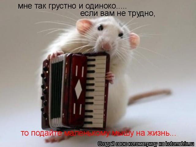 мне так грустно и одиноко..... если вам не трудно, то подайте маленькому мышу на жизнь...... Котоматрица: мне так грустно и одиноко..... если вам не трудно, то подайте маленькому мышу на жизнь...