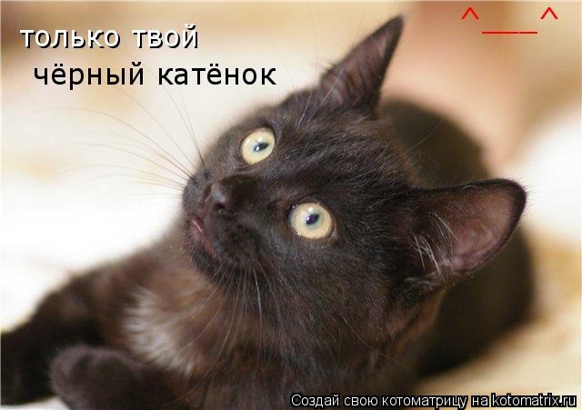 только твой чёрный катёнок ^___^... Котоматрица: только твой чёрный катёнок ^___^